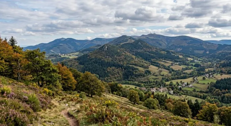 Marchés, foires et artisanat : l'agenda des Monts du Forez